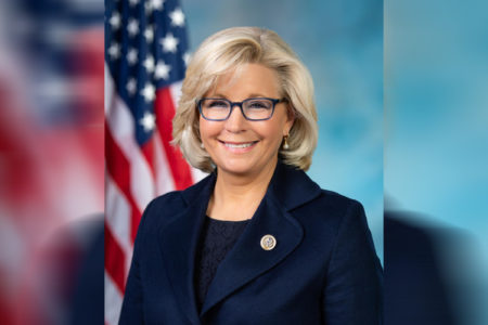 RINOs endangering election integrity