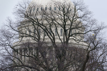 Time for Term Limits?