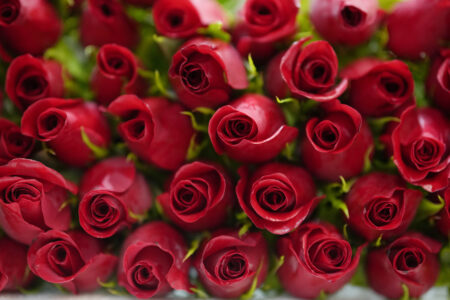 My Valentine’s Day letter to the Boston Water and Sewer Commission