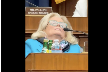 YIKES: Dem Congresswoman Conks Out in Hearing Room [VIDEO] – 5.14.25